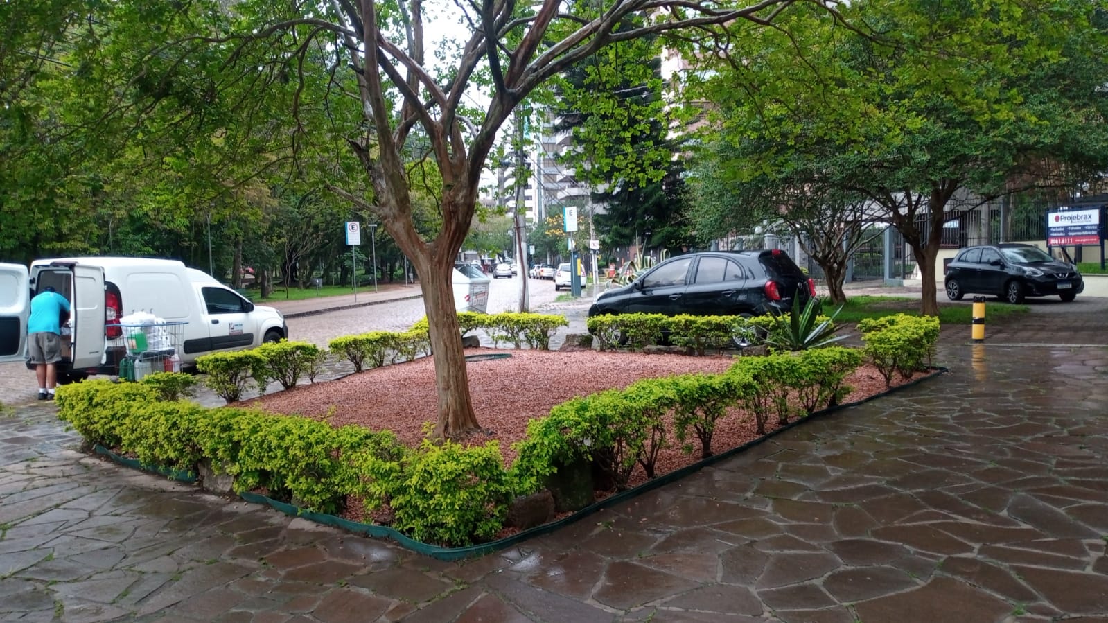 Poda e limpeza Porto Alegre
